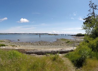 Fototapeta na wymiar landscape at the Royston shipwreck site during high tide, near Courtenay, Vancouver Island British Columbia Canada
