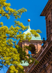 Spring time in Europe. Green tree branches and blurred architecture details of old town hall on background at sunny day in Nuremberg, Germany.
