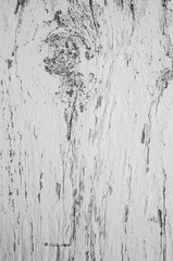 Peeling white paint pattern on old wooden background. Whitewash texture.