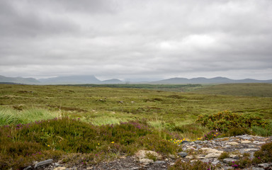 Fototapeta na wymiar Scottish Highlands heather and heathland