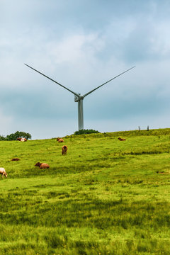 Wind turbine in Dartmoor National Park