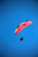 Paragliders