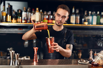Cocktail Bar. Bartender Making Cocktails At Bar Counter