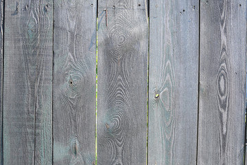close-up of vintage gray silvery wooden wide boards, wall, floor, table, background for text,...
