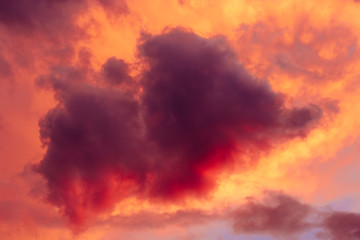 Fototapeta na wymiar Cloud that looks like a small elephant in the sunset. Cloudscape in warm pink-orange tones.