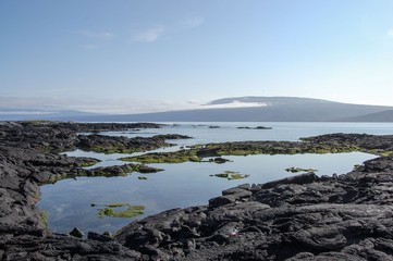 Fototapeta premium Galapagos Islands