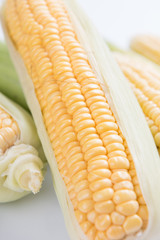 Corn Cob. Fresh peeled cobs of corn