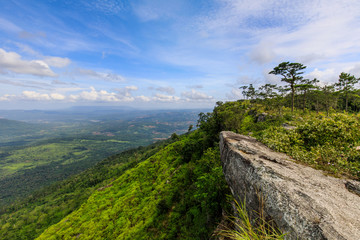 Fototapeta na wymiar Landscape of Phu-hor mountain in Loei province Thailand.