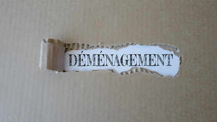 déménagement insert carton