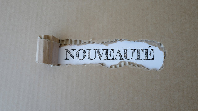 nouveaut&eacute; insert carton