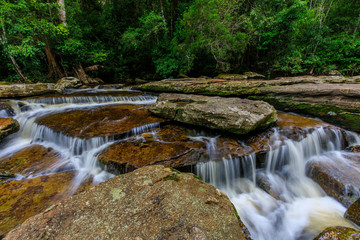 Beautiful  stream in the rainforest.