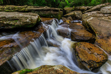 Naklejka na ściany i meble Beautiful stream in the rainforest.