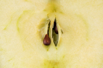 Half apple background