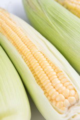 Corn Cob. Fresh peeled cobs of corn