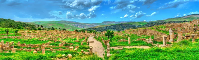 Foto op Plexiglas Berbero-Roman ruins at Djemila in Algeria © Leonid Andronov