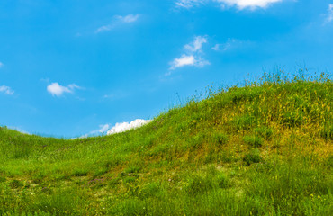 Fototapeta premium Green hills and empty road