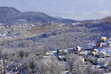 winter, snow,nature