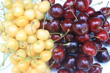 Rote und gelbe Kirschen