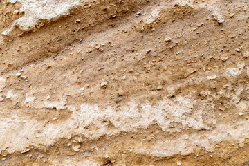 archaeological cut of the earth's surface