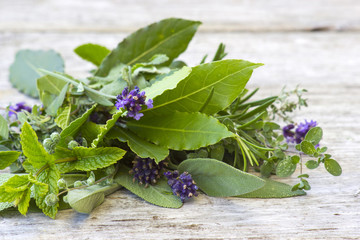 Freshly harvested herbs on wooden background