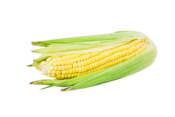 Ear of Corn with Green Leaves. Fresh sweet corn