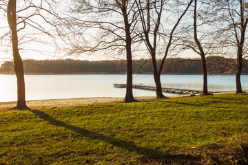 Obraz premium The lake shore with trees, pier on a sunny day