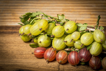 fresh gooseberries close up in the detail