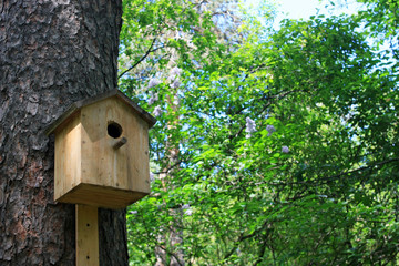 Birdhouse on the tree