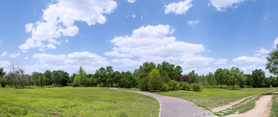 Fototapeta na wymiar Panorama spring landscape with green grass and clouds