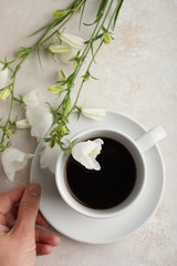 bellflowers and a cup of tea