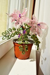 beautiful pink flower of beads on the window-sill
