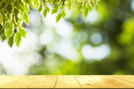 The wooden table with leaves on nature background and copy space for insert text.