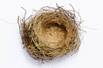 A bird's nest isolated on white background
