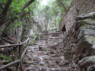 Santu Lussurgiu, sentiero nel bosco
