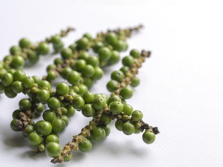 Pepper seed