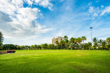 Obraz premium Green grass field with building in Public Park