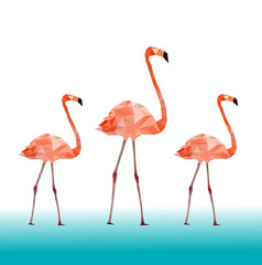 Low poly colorful Flamingo bird on blue back ground,animal geometric concept,vector