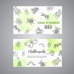 Bugs insects hand drawn cards. Pest control concept. Entomology poster. Cartoon illustration of pests and bug. Vector illustration concept