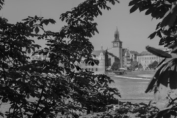 Castle and trees in Prague BW