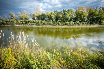 Taiga river in Siberia