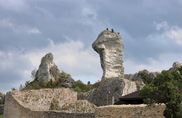 Wapienne skały ostańcowe w Ogrodzieńcu, Polska © Wioletta