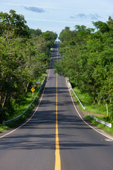 high road, green trees and blue sky