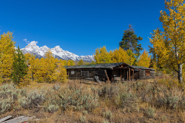 Scenic Autumn Landscape in the Tetons