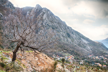 Obraz premium Montenegro. Landscape. Mountain landscape.