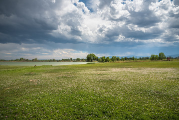 Storm clouds over a field of wildflowers near McIntosh Lake in Longmont, Colorado