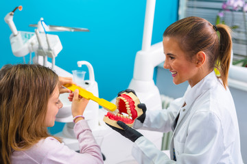 dentist shows the girl how to wash her teeth