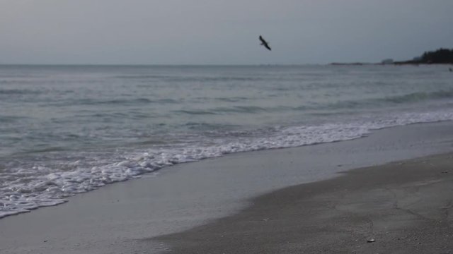 Ocean Waves at the Beach on a Cloudy Day