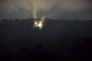 Naklejka na ściany i meble Moonlight in trees and fog