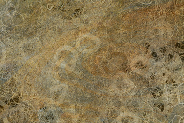 Grunge & rough. Web, backdrop, surface & cover.