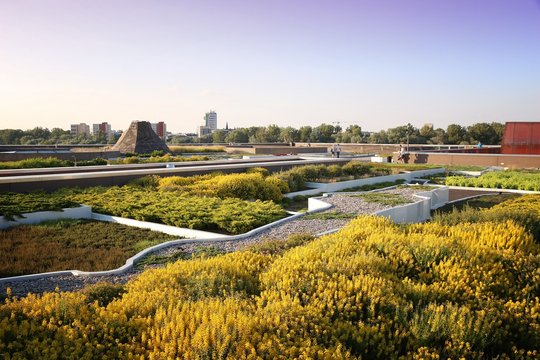 Warsaw roof garden